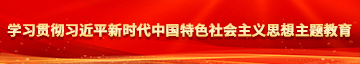 看操亚洲老女人的逼学习贯彻习近平新时代中国特色社会主义思想主题教育